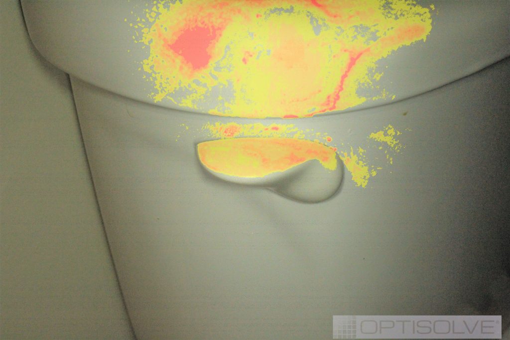 Contaminants on a toilet tank and flusher
